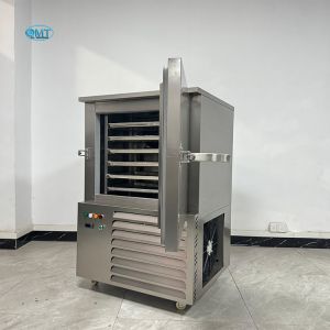 Cheap Temperature Control Blast Freezer Container Seafood Preservation For Restaurant for sale