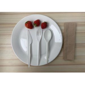 6" Lightweight CPLA Biodegradable Tableware For Birthday Party