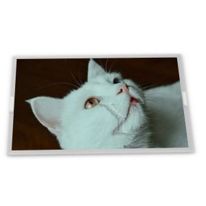 800(RGB)*480 5 Inch A-Si TFT-LCD New High Quality Touch Screen Panel TM050RDH03-41 Lcd Display Screen Quality Product