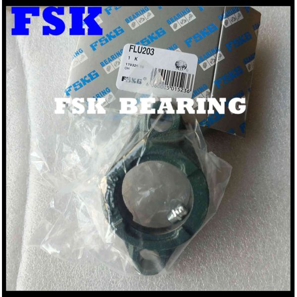 Two Bolt FLU203 FLU204 Flange Unit For Pillow Block Bearings Packaging Machine Accessories