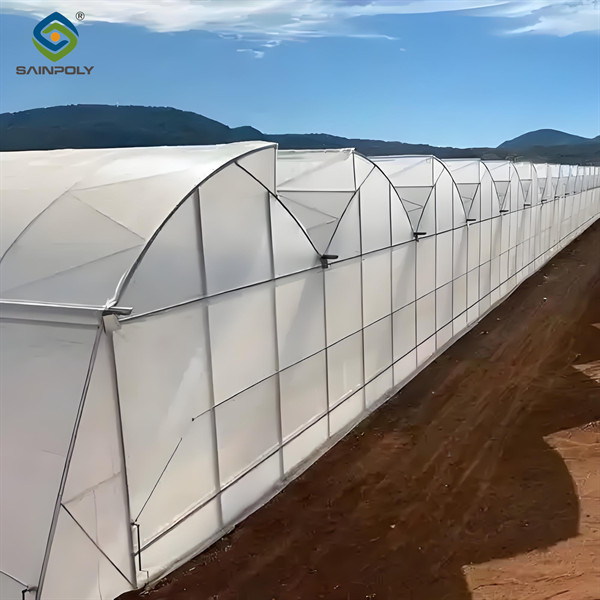 Commercial Multi Span Greenhouse Plastic Film Greenhouse For Vegetable Growing