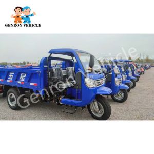 60km Genron 5 Tons Diesel Tricycle With Rear Axle Drive