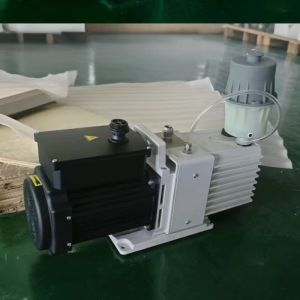 Freeze Dry Cycle 24-30 Hours Medium Size Home Freeze Dryer with Intelligient