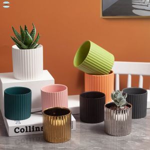 Customizable Ceramic Pots To Meet Your Specific Planting Requirements