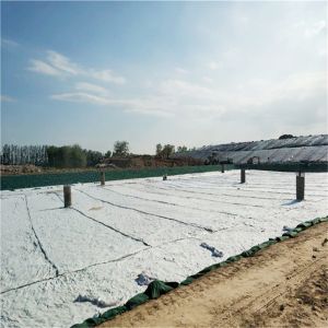 PP/ PET Geotextile 100g/sqm-800g/sqm Short Fiber Non-Woven Geotextile for