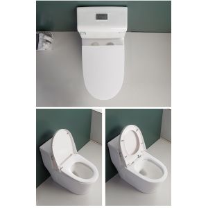 China Siphonic S Trap 300mm Sanitary Ware Toilet Modern Comfort Height on sale