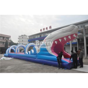 0.55mm PVC Tarpaulin Inflatable Water Slides For Kids , Custom Sharp Inflatable