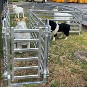 China Easily Assembled Eco Friendly Sheep Panel Fence on sale