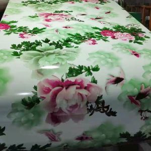 China PPGI PPGL Galvanized Steel Coils Flower Patten 0.8mm Thickness on sale