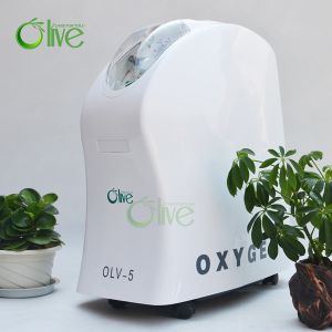 Buy cheap 5L medical use 93% CE ISO factory price oxygen concentrator from wholesalers