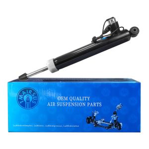 Lincoln MKC Air Suspension Shock Absorber For Rear Left Placement EJ7Z18125G
