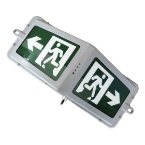 China LED Emergency Lights: Fire Evacuation Indicator for Tunnel Lighting on sale