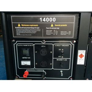 50Hz 60Hz AC Three Phase Portable Gasoline Generator , 12kw home electrical