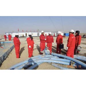 API 7K 1500 PSI 2000 PSI Rotary Drilling Hose Vibrator Hose