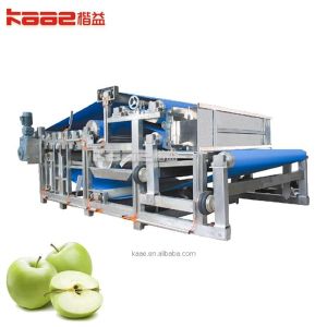 0.5-20T/H Industrial Concentrated Juice Processing Line Baobab Juice Processing