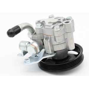 Maxima Power Steering Pump 49110-40U15 , Low Noise Automotive Power Steering