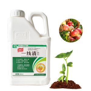 Cheap Crop Nutrition Soil Conditioner Fertilizer 60-70% Shiny Flake Potassium Humate Foliar Spray for sale