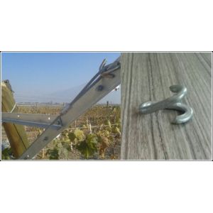 Popular Galvanized Metal Open Gable Trellis System 1460mm 1120mm Length