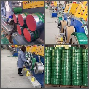 Model 315 Reducer Plastic PP PET Strapping Band Production Line 600kg/h packing