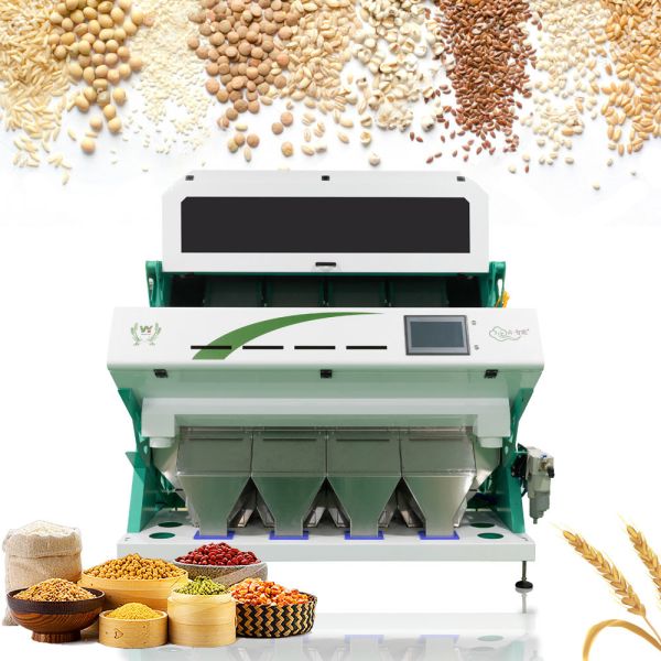 Quality Wenyao Intelligent Color Sorter 4 Chute Wheat Color Sorting Machine For Grains wholesale