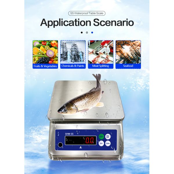 SOHE S5 3KG Stainless Steel Scale with Dual LED Display and IP68 Waterproof Rating