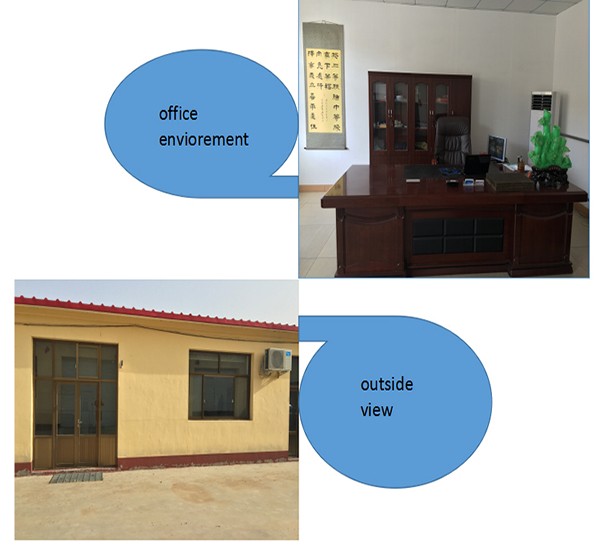 Summer Waist Trimmer Belt Full Elastic Breathable Fish Ribbon Material