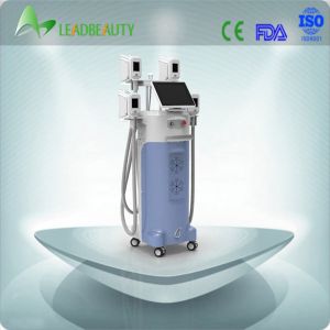 2015 multifunction lose weight 4 cryolipolysis heads 4 handls cryolipolysis