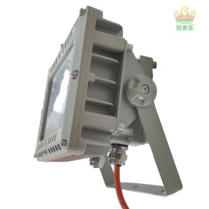 Safety Explosion proof Flameproof flood light For Oil Gas hazardous Zone 1 160lm