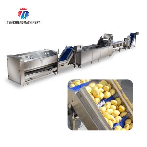 Roller brush bubble washing selection and cutting production line Fruit