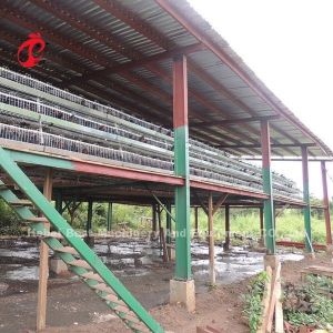 Cheap Battery Poultry Farming Cage System Decrease Temperature For Layers Star for sale
