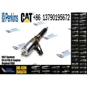 Common Rail Injector 306-9380 306-9390 310-9067 2645A751 320-0655 320-0688