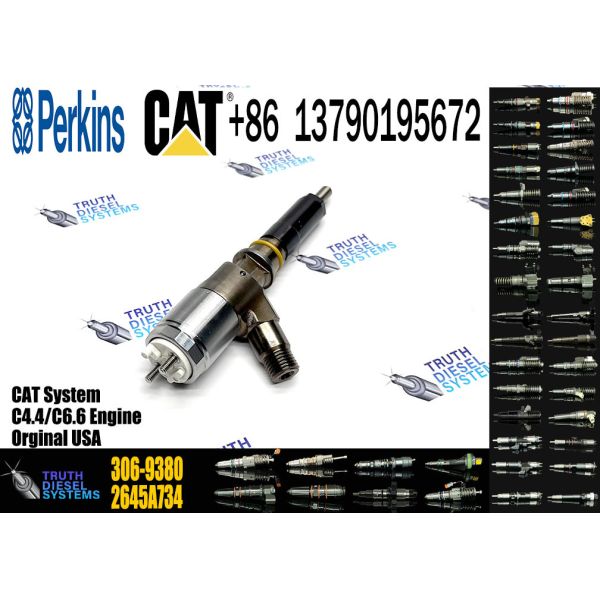 Common Rail Injector 306-9380 306-9390 310-9067 2645A751 320-0655 320-0688