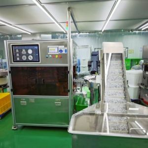 China High-Speed  Automated Image Inspection Machine Detecting Injection Molding Defects Flaws High Efficiency on sale