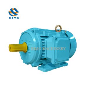 China 40 HP Three Phase AC Electric Motor on sale