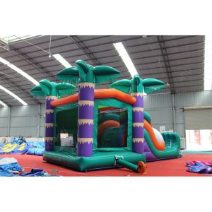 Age Range 5 to 7 years Commercial Pvc Jumping Bouncer Dry Slide Custom Logo