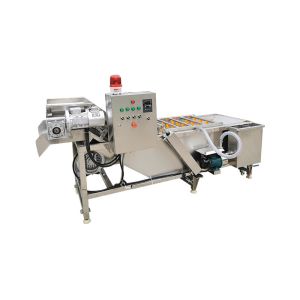Industrial Automatic Restaurant 500kg/h Vegetable Bubble Washing Machine