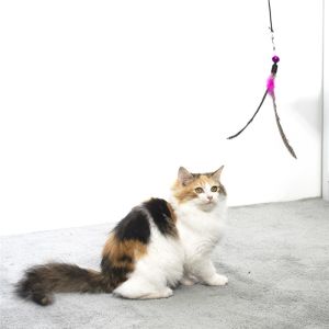 Custom Bulk Wand Teaser Interactive Cat Toys For Indoor Cats Playing