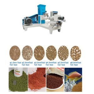 Dry Type Single Screw Fish Pet Feed Extruder For Small Business And Farm Use