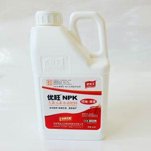 30-10-10 NPK Compound Fertilizer For Fruits And Vegetables Agricultural