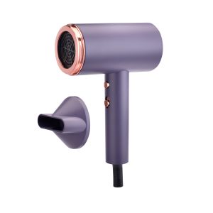China Plastic Electric Hair Dryer With Ionic Folded Function OEM ODM on sale