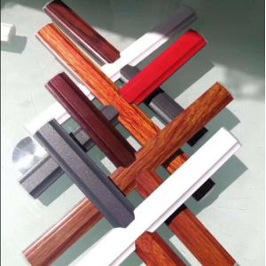 Grilles Between Tempered Insulated Glass Unit Panels 6mm 9A For Doors