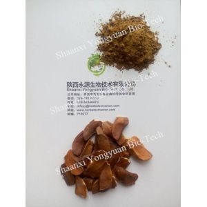 Sky fruit Extract, Fructus Swietenia Macrophylla Extract, reduce blood fat,