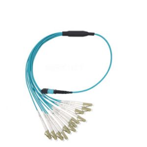 High Quality B Type Blue MPO - DX LC 12 Fiber LSZH Fiber Optic Patch Cord