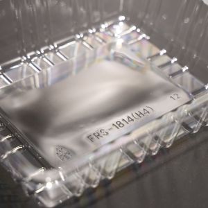 Rectangular PET Plastic Food Tray For Food Packaging Customized Color Printing