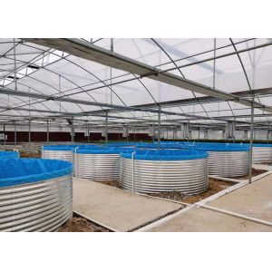 Smart Fish Farming Ras System AI Monitoring For Catfish Trout Breeding