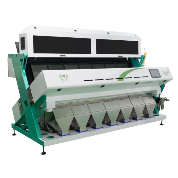 Quality AI Self Learning CCD Optical Multifunction India Garlic Color Sorter High Accuracy wholesale