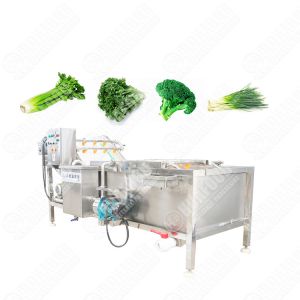 Sus 304 Stainless Steel Carrot Potato Ginger Washing And Peeling Machine Single