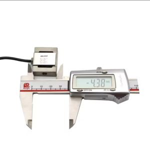 Ruijia Mini S-type Lifting Hook Scale Pull Force Load Cell 1kg