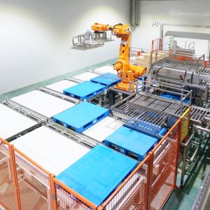 Cold Storage Warehouse ASRS Automated Storage and Retrieval System