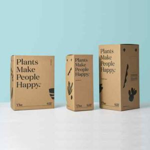 Custom Corrugated Cardboard Plant Shipping Box Packaging Plant Boxes For Plants
